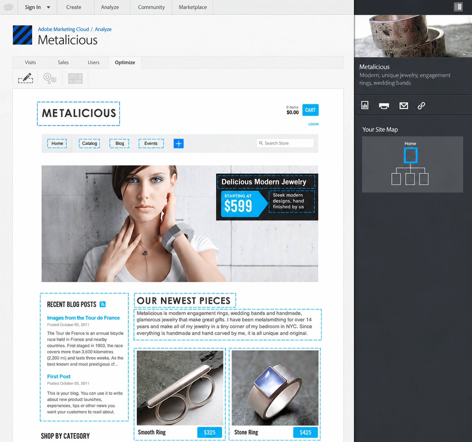 Website's editing and optimizing