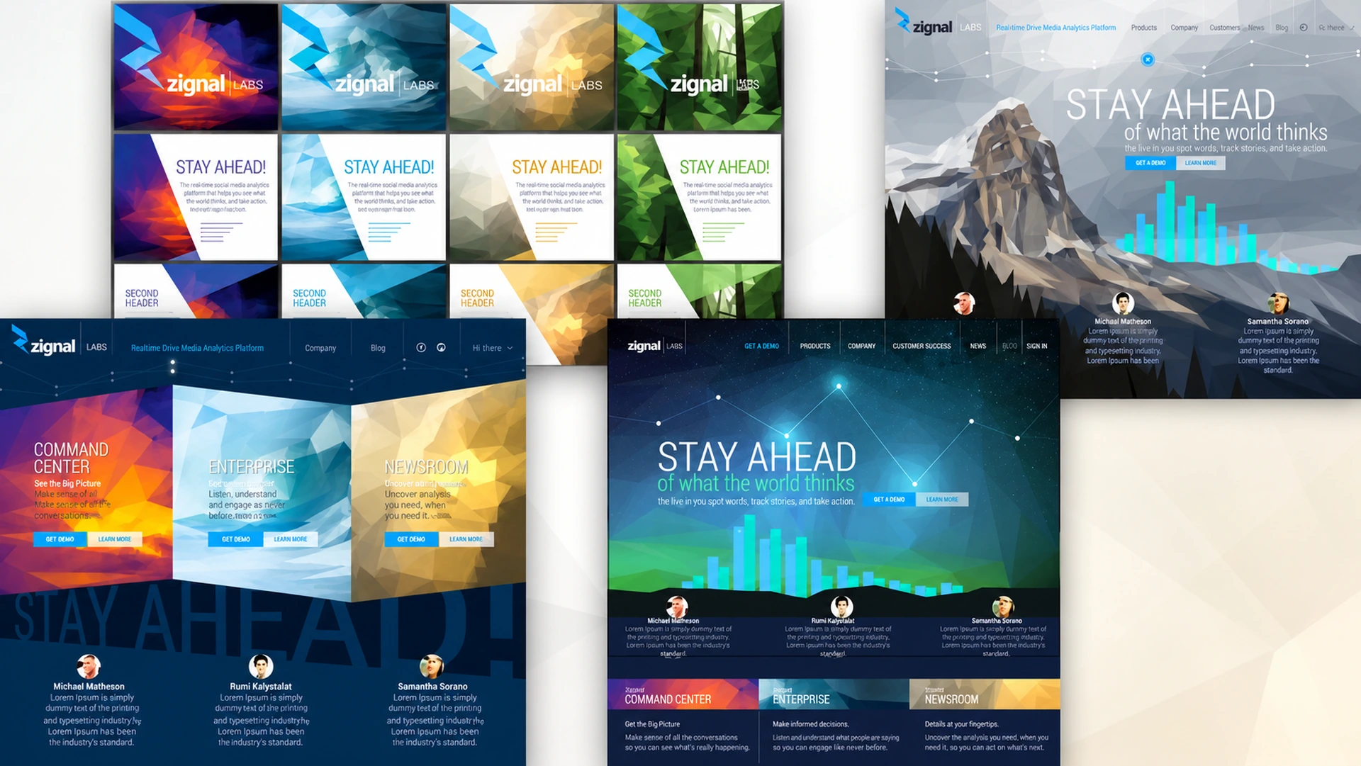 Zignal's marketing brochures and website concepts